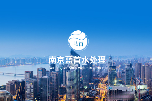 渌口建站-南京蓝首水处理设备有限公司